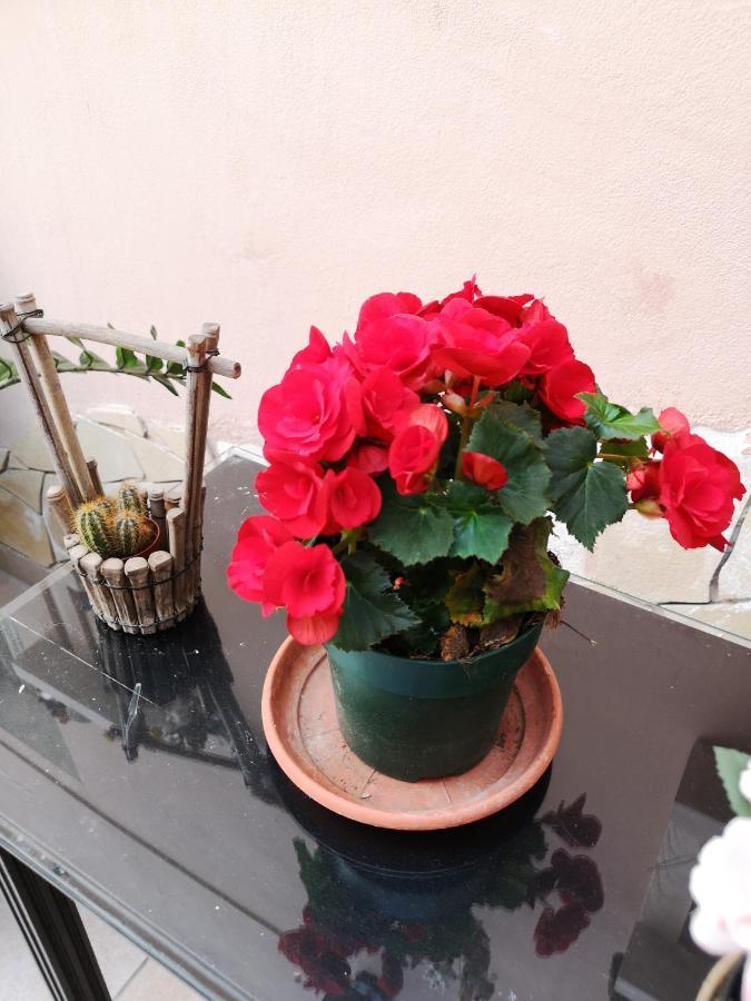 B&B Casa Valeria 카타니아 외부 사진